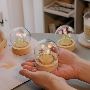 Handmade Mini Tulip Night Light