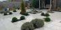 Landscape Gardeners Cheshire: Transforming Outdoor Spaces