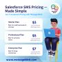 Affordable Salesforce SMS Pricing – Start Messaging