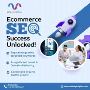 Ecommerce SEO Tampa by MetaLogic Digital – Drive Traffic & C