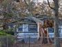 Tree Pruning for Healthy Growth