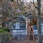 Safe and Reliable Tree Removal in Buffalo, NY