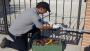 Your Go-To Gate Repair Company in Miami | Affordable & Fast