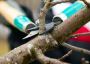 Reliable Tree Services for Homes & Businesses