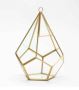 Buy Teardrop Terrarium - Gold