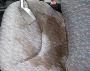 Get the Best Vehicle Carpet & Upholstery Cleaners Services 