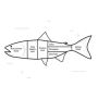 Smarter Seafood Processing Solutions