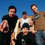 Millencolin Merch