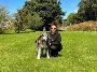 Transform Your Dog’s Behaviour with North Wales Training