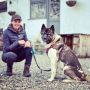Trusted Canine Training Services in North Wales Trusted Canine Training Services in North Wales
