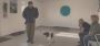 Wirral Dog Behaviour Specialist Helping Dogs and Owners Thri