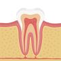 Need Root Canal Treatment? Trusted Professionals Are Here
