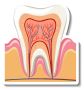 Get Root Canal Treatment from Top Dentists in Kolkata