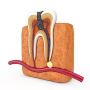 Looking for an Expert Pediatric Root Canal Dentist Kolkata