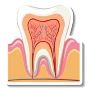 Expert Root Canal Specialist Near Kolkata for Pain-Free Trea