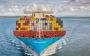 Streamlined Freight Support with Shipping Logistics Services