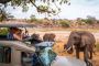 Unveil Tanzania’s Wonders with the Best Safari Packages 