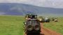 Hadzabe Cultural Experience Tour: Explore Tanzania’s Ancient