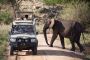 Tanzania Safari Holiday Packages – Explore the Wild! Tanzania Safari Holiday Packages – Explore the Wild!