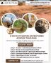 Best Family Safari Holidays in Tanzania – Book Your Tour Now