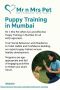 Puppy Training in Mumbai Puppy Training in Mumbai