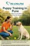 Puppy Training in Pune Puppy Training in Pune