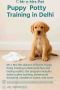 Puppy Potty Training in Delhi Puppy Potty Training in Delhi