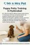 Puppy Potty Training in Hyderabad