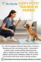 Puppy Potty Training in Mumbai