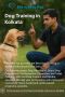 Dog Training in Kolkata Dog Training in Kolkata