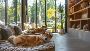 Dog Hostel In Delhi