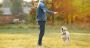 Dog Training In Mumbai