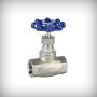 Globe Valve Manufacturer & Exporter in Ahmedabad Gujarat
