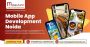 Drive Digital Success with Mobile App Development Noida Firm