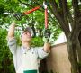 Affordable Tree Cutting Services in Melbourne