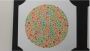 The Ultimate Guide to Passing Color Vision Tests