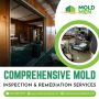 Expert Mold Remediation in Indianapolis, Indiana – Mold Men 