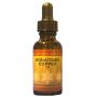 Buy Monatomic Elements Supplements – Flat 40% Off