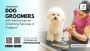 Top 10 Dog Groomers in Gurgaon With Best Prices Top 10 Dog Groomers in Gurgaon With Best Prices
