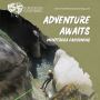 Dive into Adventure: 2-Day Canyoning Experience!