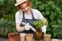 Up for a new makeover with garden renovations? 