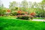 Looking for Lawn Maintenance in Mt Gambier