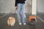 Pet Moving Services in Bangalore | Mr n Mrs Pet Pet Moving Services in Bangalore | Mr n Mrs Pet