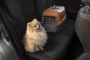 Pet Transport Services in Hyderabad | Mr n Mrs Pet