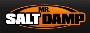 Mr Salt Damp