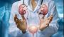 Consult the Best Nephrologist in Mumbai: Kidney Care You Can