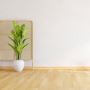 Stylish and Durable Flooring in Bella Vista 