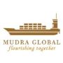 international business consultants