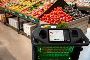 United Super Market – Your One-Stop Online Grocery Store