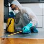Eco-Friendly Pest Control Services in patna and Across India